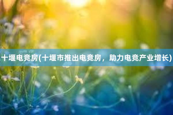 十堰电竞房(十堰市推出电竞房，助力电竞产业增长)