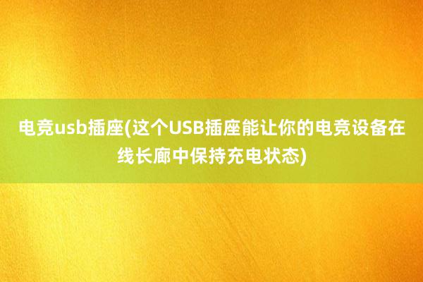 电竞usb插座(这个USB插座能让你的电竞设备在线长廊中保持充电状态)