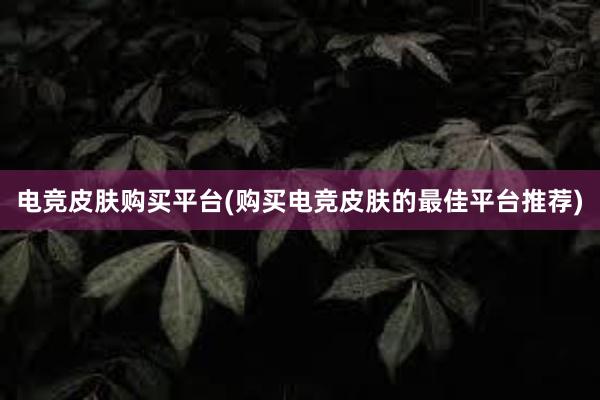 电竞皮肤购买平台(购买电竞皮肤的最佳平台推荐)