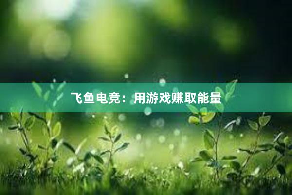 飞鱼电竞：用游戏赚取能量